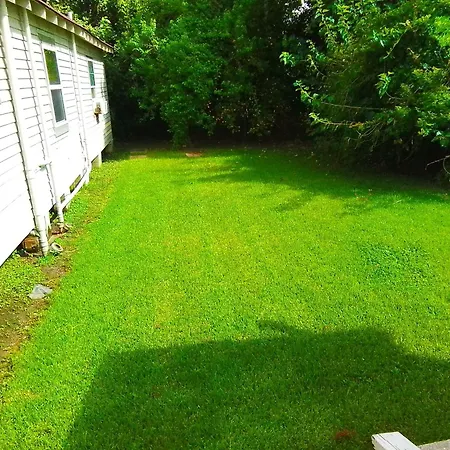 Cheeful, 2Bed X 1Bath Brick House Villa New Orleans Exterior photo